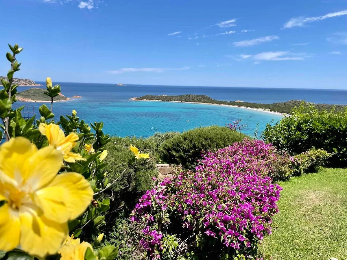 San Teodoro Punta Est Spettacolare Quadrilocale Vista Mare Apartamento Capo Coda Cavallo Itália