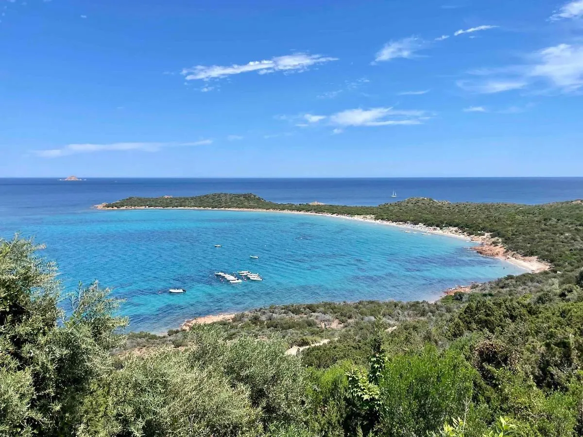 San Teodoro Punta Est Spettacolare Quadrilocale Vista Mare Apartamento Capo Coda Cavallo