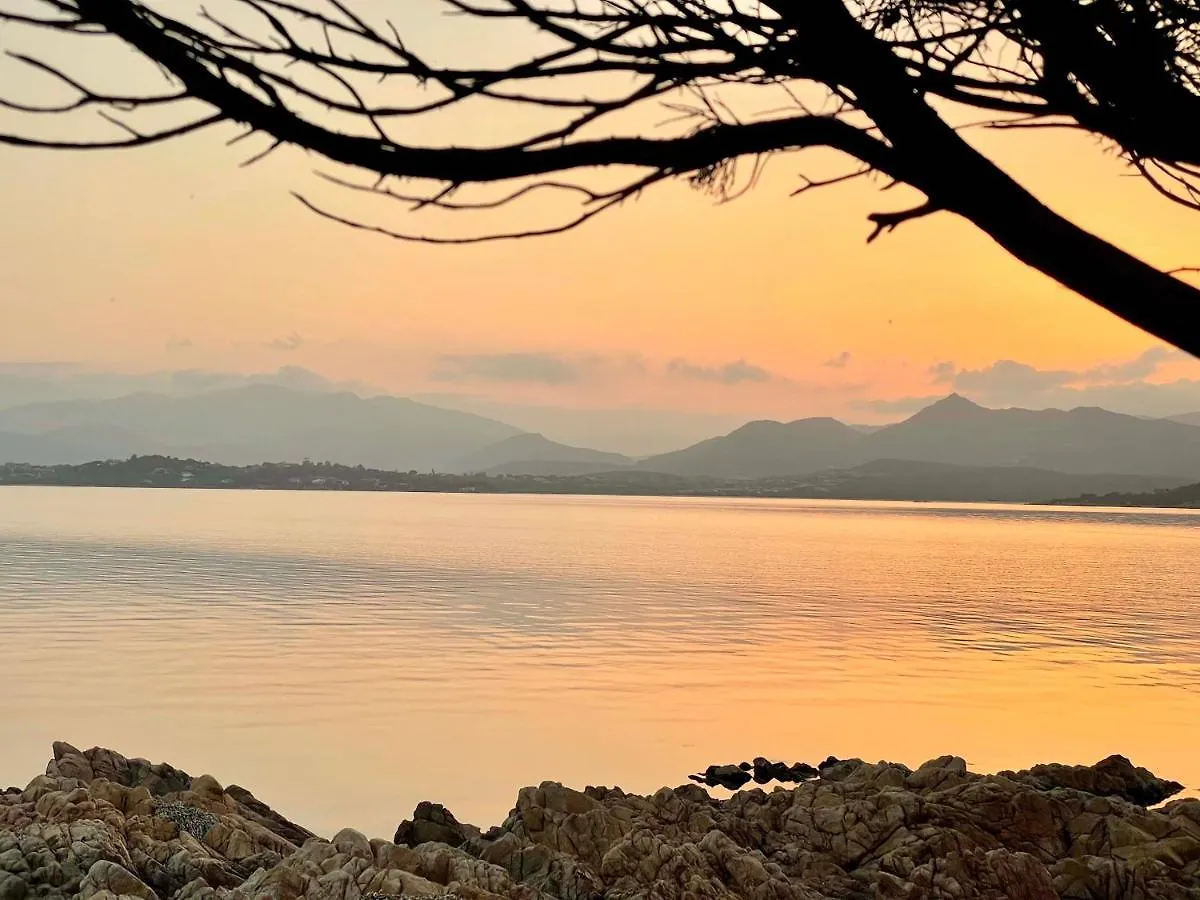 San Teodoro Punta Est Spettacolare Quadrilocale Vista Mare Apartamento Capo Coda Cavallo