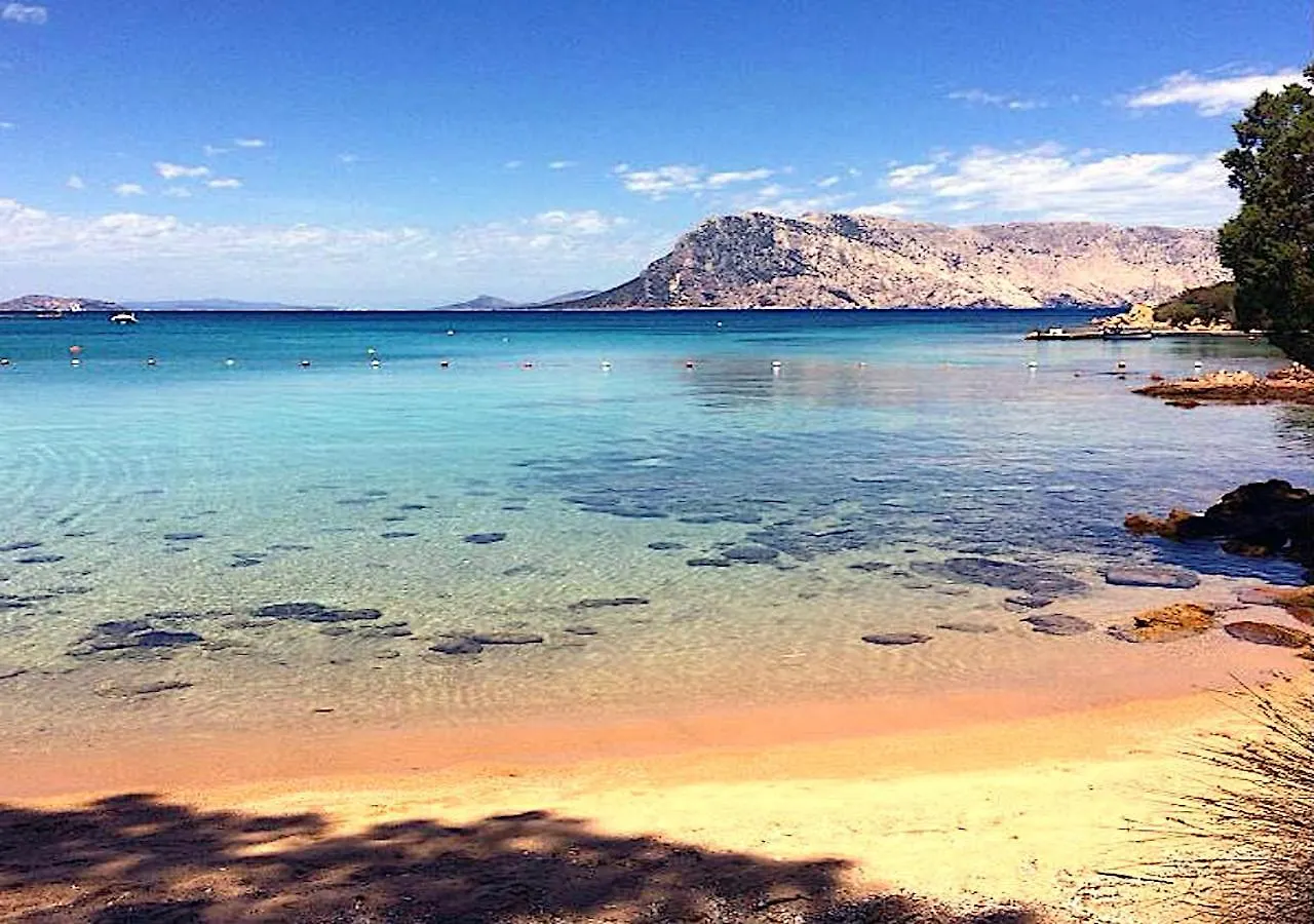 San Teodoro Punta Est Spettacolare Quadrilocale Vista Mare Apartamento Capo Coda Cavallo Itália
